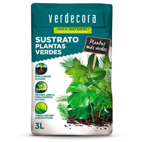 Plantas verdecora