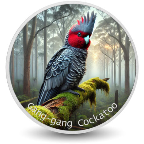 Susurro Místico: La Cacatúa Gang-gang 1 oz Color Plata