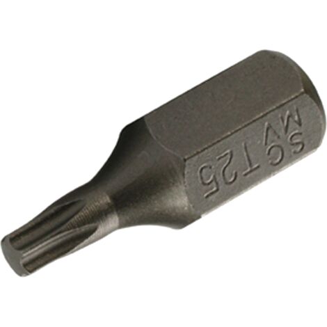 SW-Stahl 05331L Schraubendrehbit kurz T25 x 30 mm ohne Bohrung