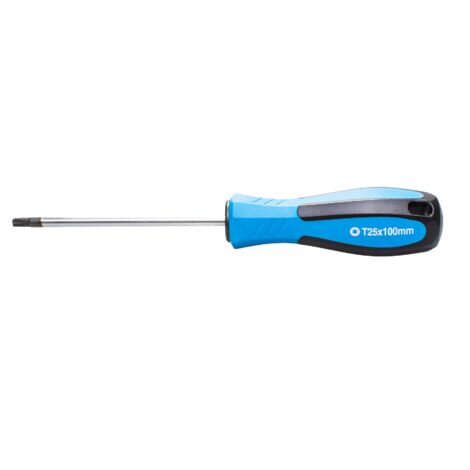 SW-Stahl 31725SB Schraubendreher mit T-Profil I T25 x 100 mm I TX Schraubenzieher I T-Schraubendreher Werkzeug