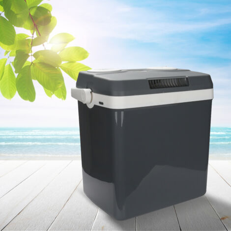 SWANEW 32 litri Cool Box raffredda e riscalda l'auto termobox elettrica scatola fredda 12V 230V Mini frigorifero per auto e campeggio eek a ++ grigio