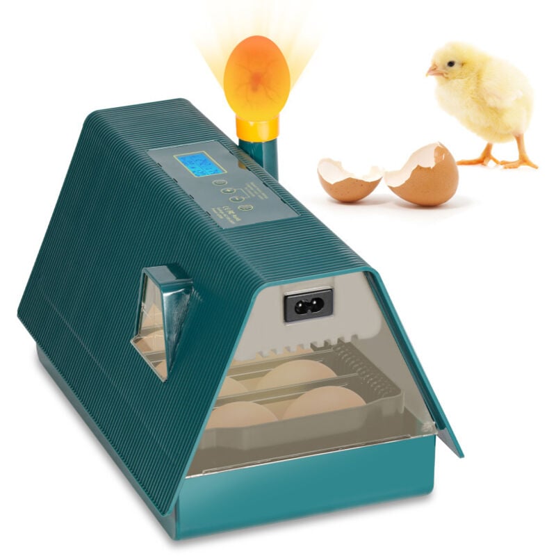 Couveuse automatique de 10 œufs de poules à affichage digital de la température Automatique mini pour Couver Poule Canard Caille œufs de canard
