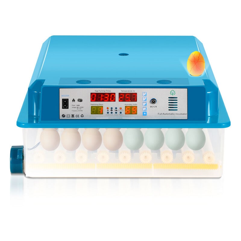 Couveuse Avec Lumière d'œufs led pour poule oie canard pigeon caille oiseau incubateur numérique incubateur de surface 64 œufs vert - Swanew