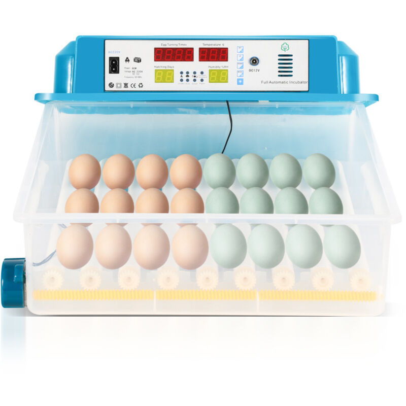 SWANEW Couveuse Incubateur d'œufs Couveuse de surface avec écran LCD 35-36w pour poules, canards et autres poussins Avec lumière d'œufs LED 64 œufs