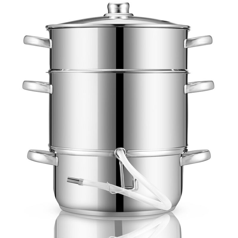 Swanew - Extracteur de jus à vapeur diam 26 cm inox avec Couvercle en Verre