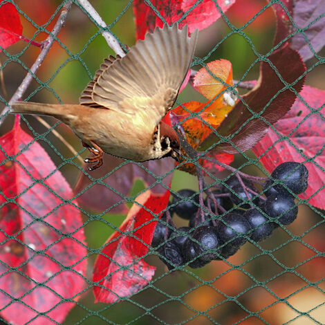 Leaf Guard Étang du Poisson bâche de piscine net filet plastique barrière d'oiseaux  - Chine Bâche de piscine Net et barrière de la piscine de filets prix