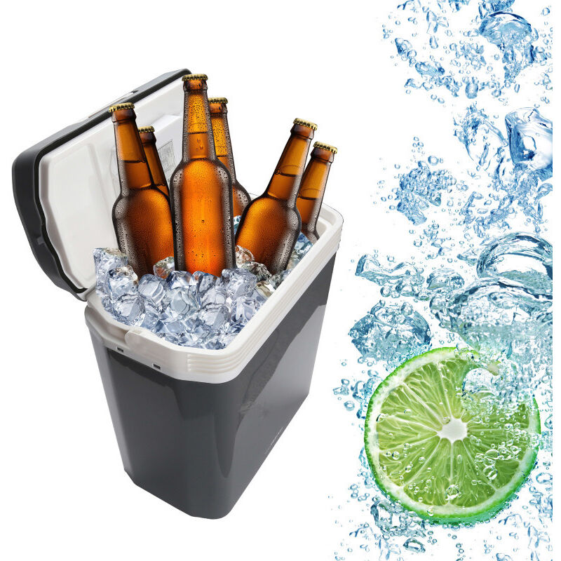 Glacière électrique portable de 24 l, 12 v et 230 v pour voiture, camion, bateau, camping-car et prise de courant - Swanew