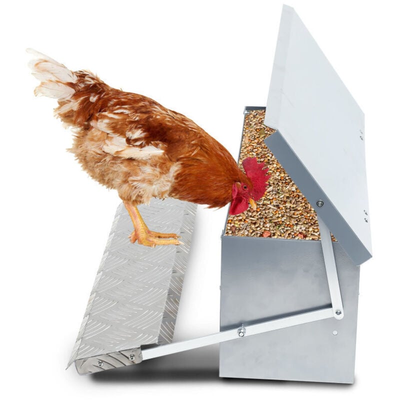 Swanew - Mangeoire Automatique 5kg avec marches en aluminium, Anti-nuisibles, preuve de l'eau, Anti Gaspillage
