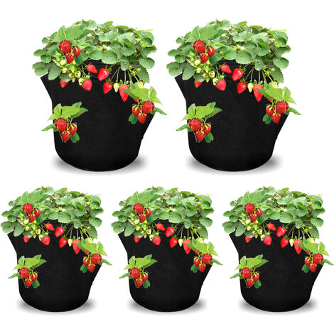 Zelsius Pflanzsack atmungsaktive Pflanztasche aus Vliesstoff 5 Stück | schwarz 4 Liter Pflanztopf Pflanzbeutel für Kartoffeln Tomaten 