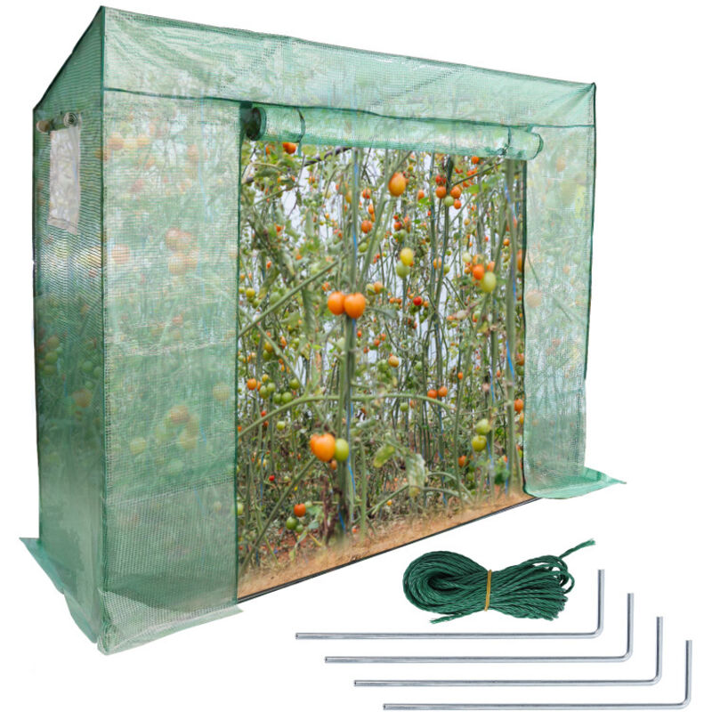 Serre de jardin avec bâche polyéthylène 200x170x80cm serre 1,6 m²,2 fenêtres,imperméable,résistante à la Pluie et à la Neige,Vert - Swanew
