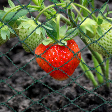 6-10M Pflanzenschutz Gartennetz Vogelschutznetz Insekten Laubnetz Obst Schutnetz 