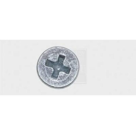 SWG 4009146043519 Assortimento viti filettate M5 20 mm A croce Phillips DIN 965 Acciaio zincato 100 pz.