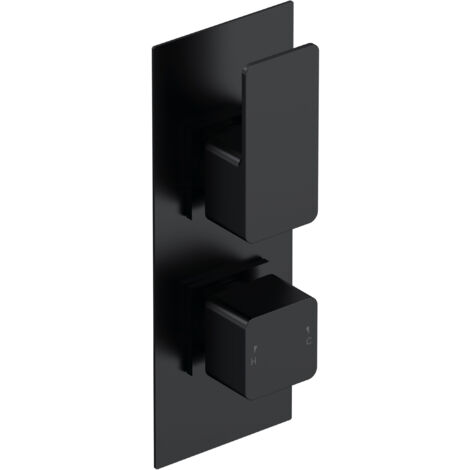 Swinscoe Contemporary Concealed Square Twin Thermostatic Shower Valve with Diverter, 215mm Solid Brass - Matt Black by Balterley