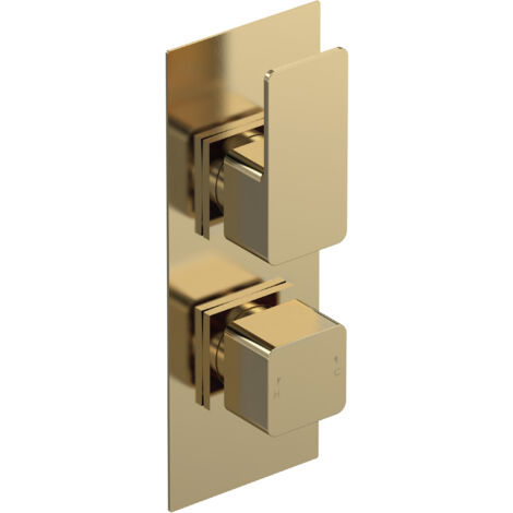 Swinscoe Contemporary Square Concealed Twin Thermostatic Shower Valve with Diverter, 215mm - Brushed Brass by Balterley