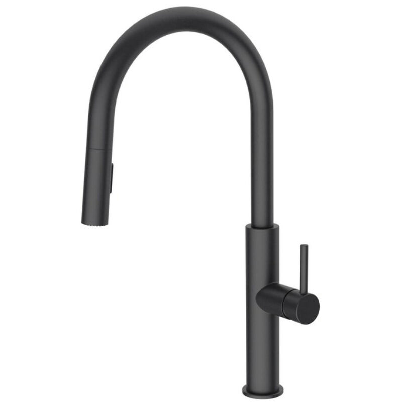 Swiss Aqua Technologies - Mitigeur cuisine avec douchette extractible 2 jets, noir mat (SATBSD286C)