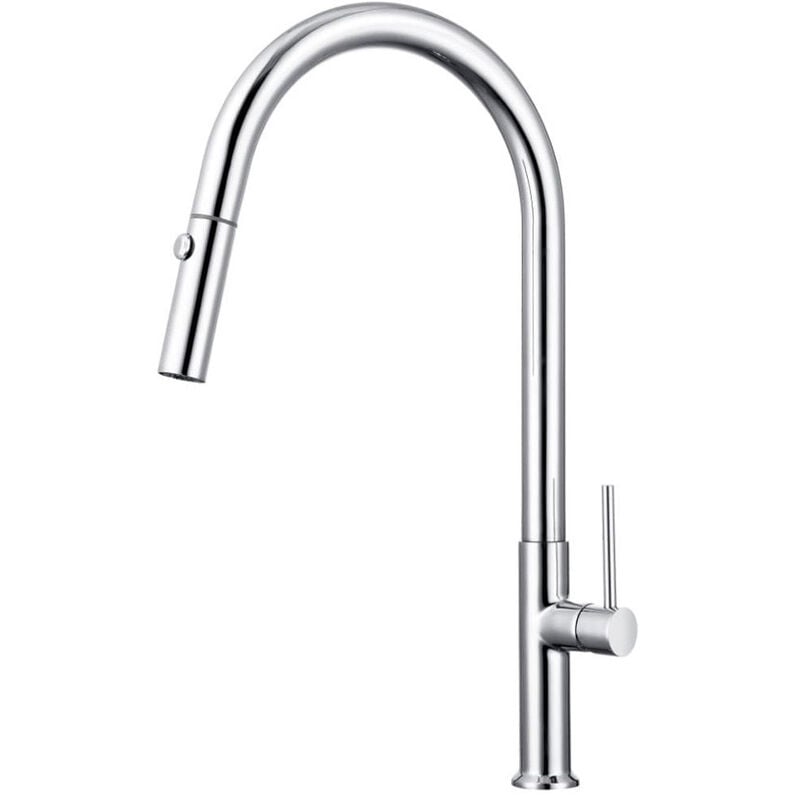 Swiss Aqua Technologies mitigeur monocommande avec douchette extractible et bras pivotant, 2 jets, Chrome (SATBSD288)