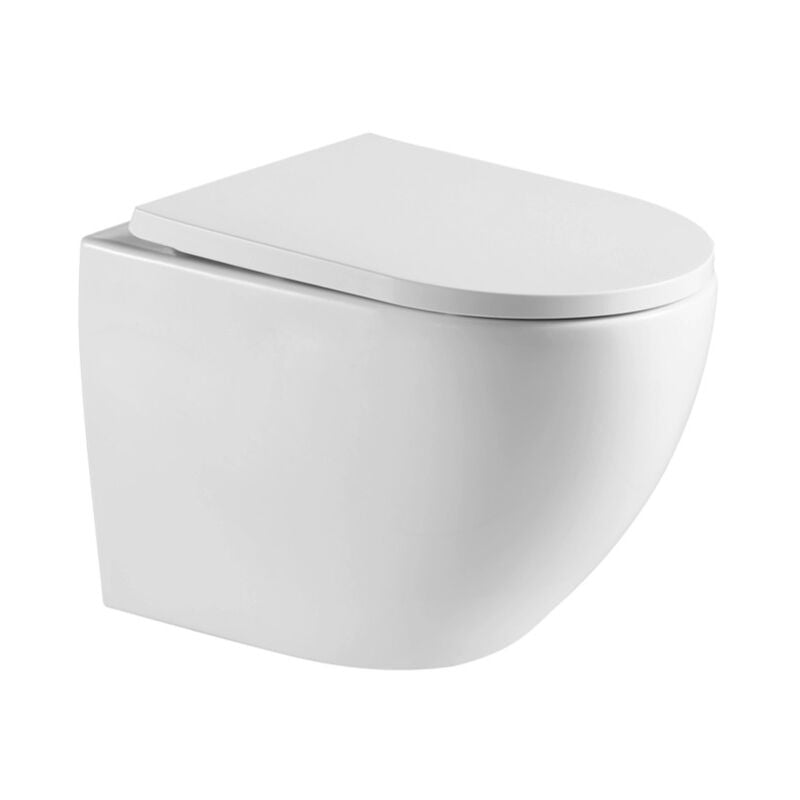 Swiss Aqua Technologies WC suspendu sans bride Tornado Quiet et fixations invisibles, abattant frein de chute (SAT67010RTORP)