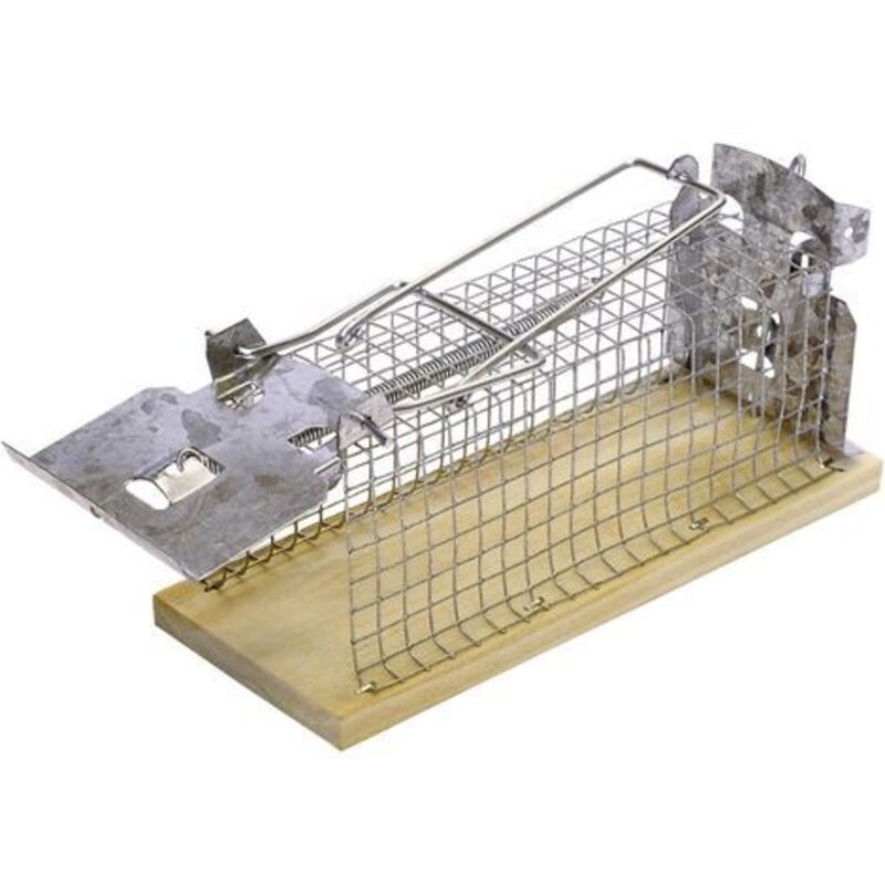 Piège à insectes Swissinno 1 584 001 pour lintérieur/extérieur