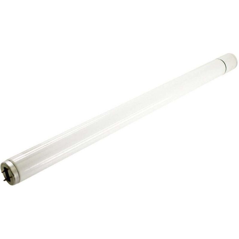 No Brand - Tube uv 40 w pour l'intérieur Mo-el uva 802 802 1 pc(s)