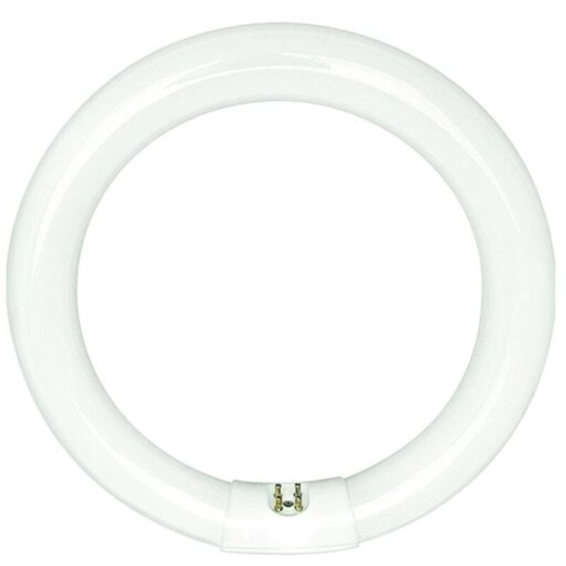 Sylvania - 0001964 Leuchtstoffröhren T9 Circline Hr 32w 840 Sockel G10q