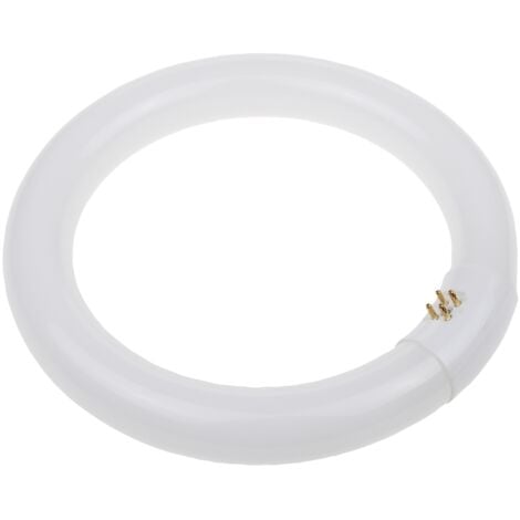 Sylvania - tl circline t9c 22w/840 cool white - 01961 -