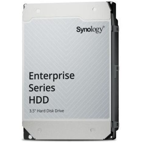 Synology Enterprise disque dur 20 To 7200 tr min 512 Mo 3.5 Série ATA III