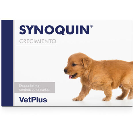 SYNOQUIN CRECIMIENTO 60CPD