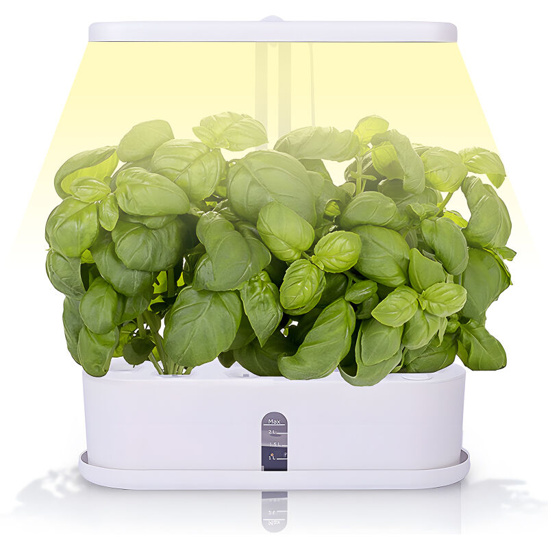 Système de culture hydroponique intérieur, réservoir 2,5 L, lampe LED spectre complet, 10 capsules germination, hauteur réglable, minuterie