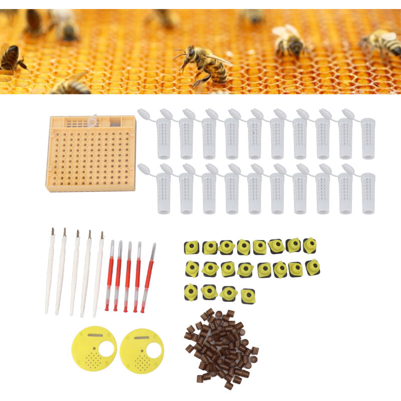 Debuns - Système d'élevage de reines d'abeilles Kit de coupelle de cellule d'élevage en plastique Fournitures d'équipements de greffage