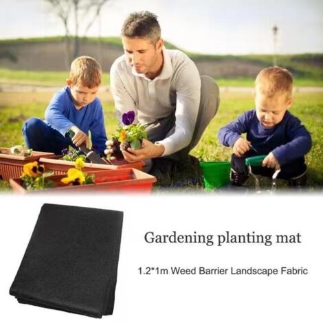 Système d'irrigation automatique pour plantes, irrigation des plantes, coussinet capillaire pour pots de fleurs, germination, coussinet de laine retenant l'humidité, outils de jardinage