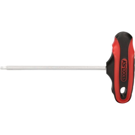 T-Griff-Torx-Stiftschlüssel, T15