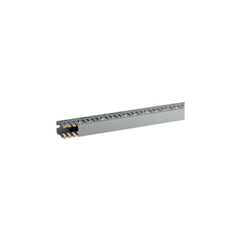 T1-EN 25x40 G Canalina con coestruso morbido modulo 10 feritoia 4, Grigio