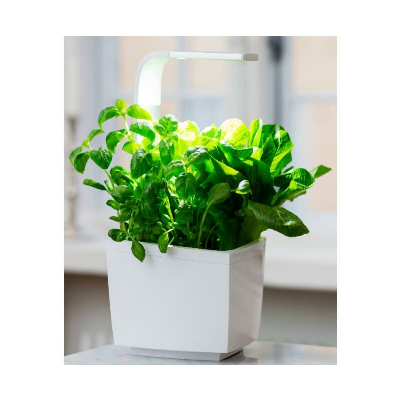 

T3 Kitchen Garden Grey