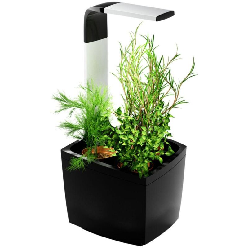

T3 Kitchen Garden Negro
