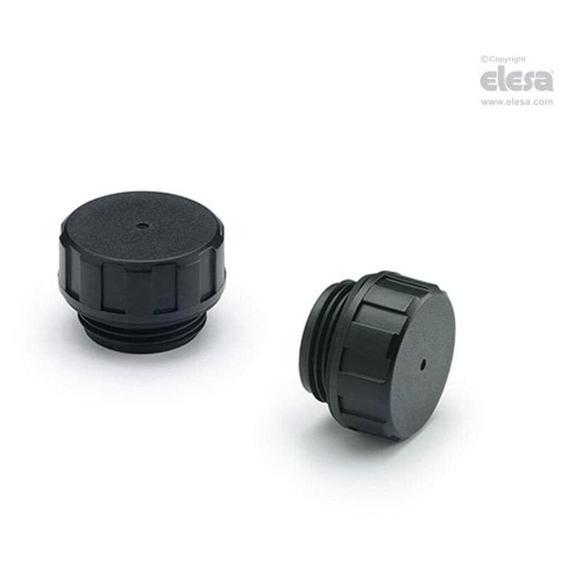 Elesa - Blanking plug-T.440-1/4