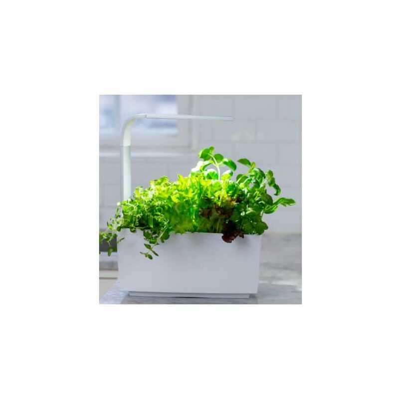 

T6 Kitchen Garden Tregren Blanco - Blanco