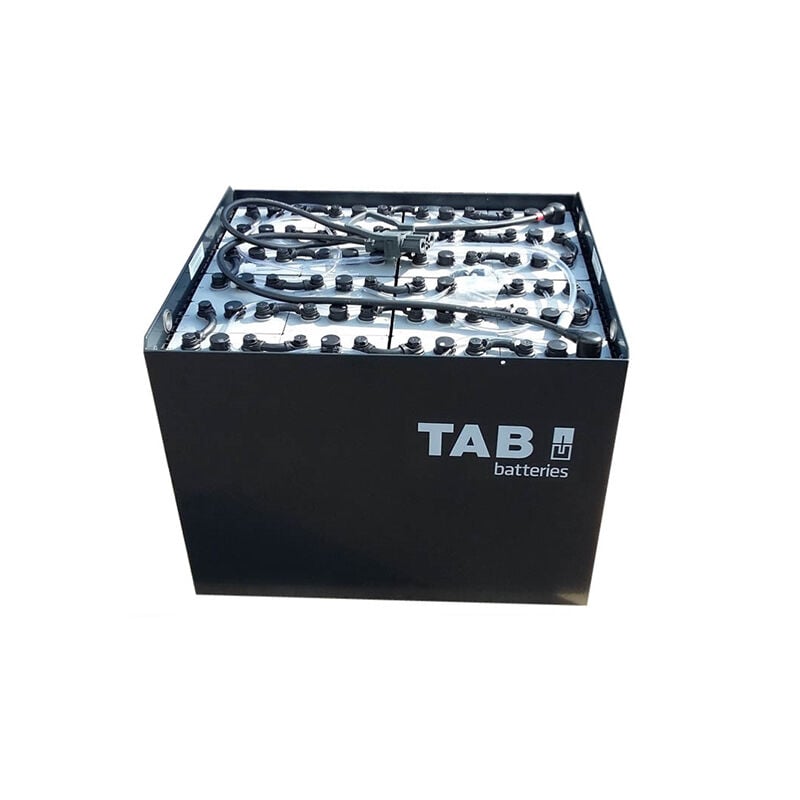 Batterie traction 2 pzs 160 24V 160Ah M10 - TAB