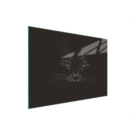 TABLA DE CORTAR DE VIDRIO 30x22 CAT
