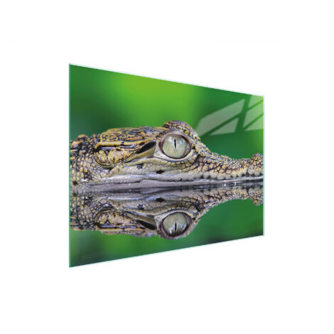 TABLA DE CORTAR DE VIDRIO 30x22 COCODRILO