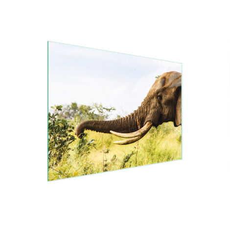 TABLA DE CORTAR DE VIDRIO 30x22 ELEFANTE