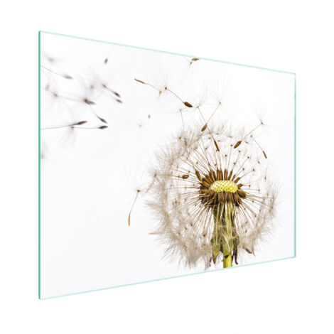 TABLA DE CORTAR DE VIDRIO 30x22 FLOR