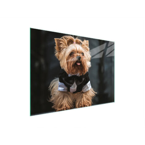 TABLA DE CORTAR DE VIDRIO 30x22 PERRO