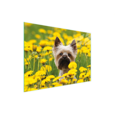 TABLA DE CORTAR DE VIDRIO 30x22 PERRO