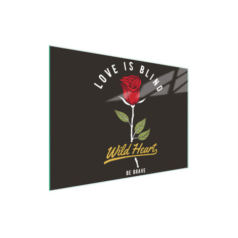 TABLA DE CORTAR DE VIDRIO 30x22 ROSA