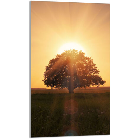 TABLA DE CORTAR DE VIDRIO 30x52 Árbol
