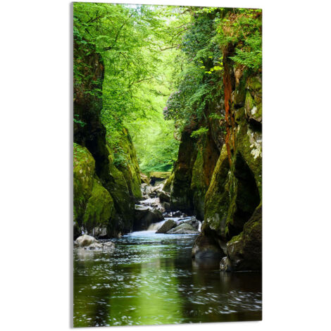 TABLA DE CORTAR DE VIDRIO 30x52 Bosque