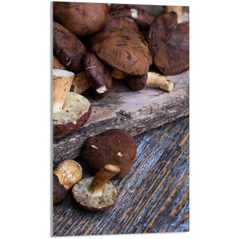 TABLA DE CORTAR DE VIDRIO 30x52 Champiñones