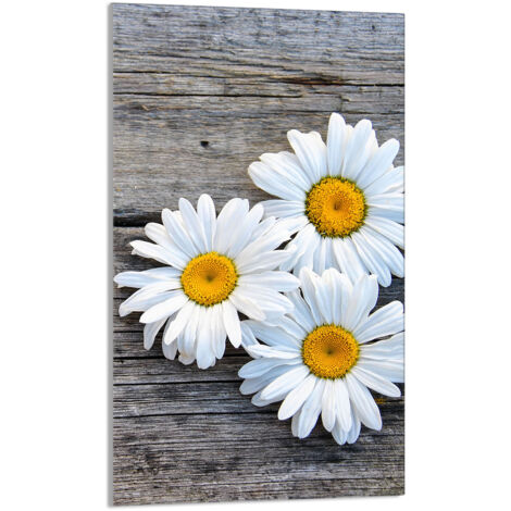 TABLA DE CORTAR DE VIDRIO 30x52 Daisy