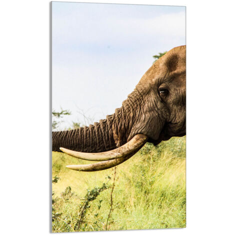 TABLA DE CORTAR DE VIDRIO 30x52 Elefante