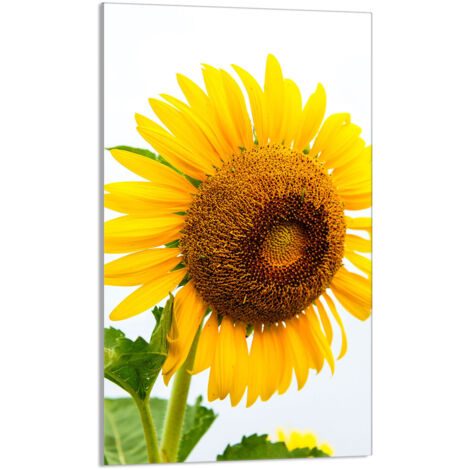 TABLA DE CORTAR DE VIDRIO 30x52 Flor